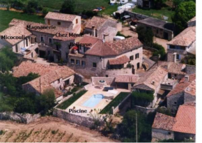 Micocoulier de la Maréchale